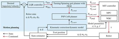 Terrain-Perception-Free Quadrupedal Spinning Locomotion on Versatile Terrains: Modeling, Analysis, and Experimental Validation